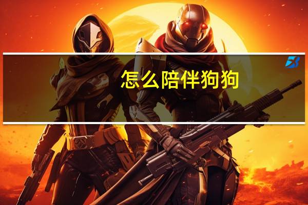 怎么陪伴狗狗