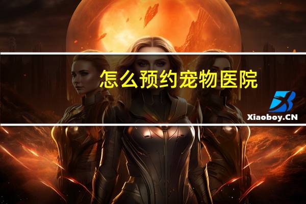 怎么预约宠物医院