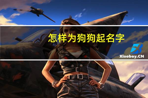 怎样为狗狗起名字