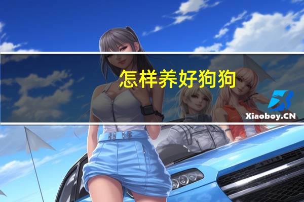 怎样养好狗狗