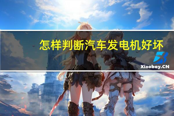 怎样判断汽车发电机好坏