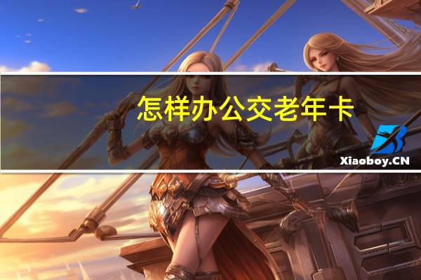 怎样办公交老年卡