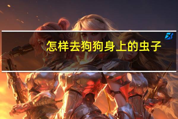 怎样去狗狗身上的虫子