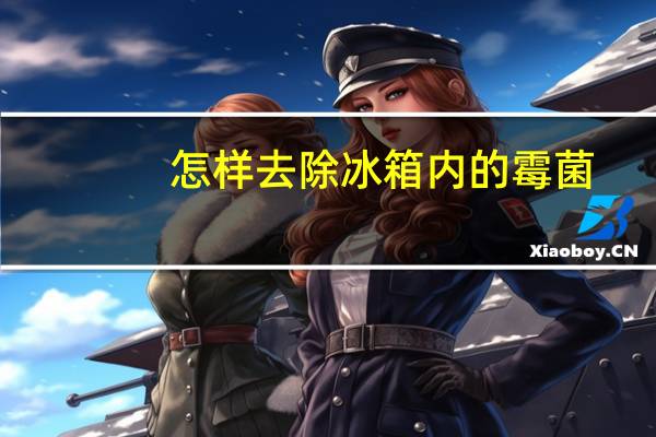 怎样去除冰箱内的霉菌
