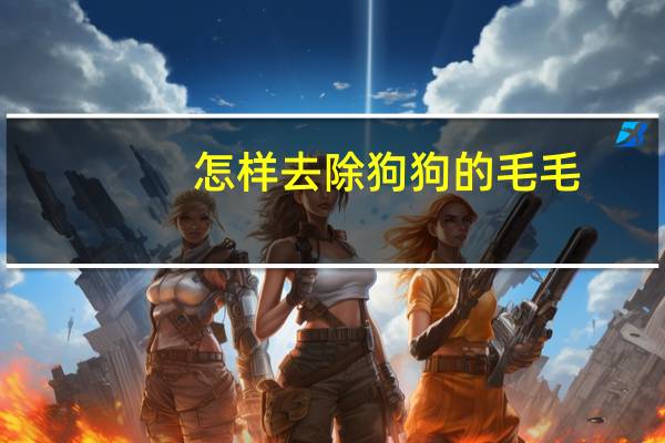 怎样去除狗狗的毛毛