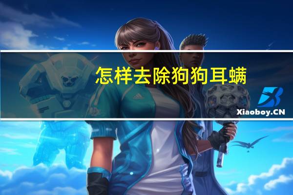 怎样去除狗狗耳螨
