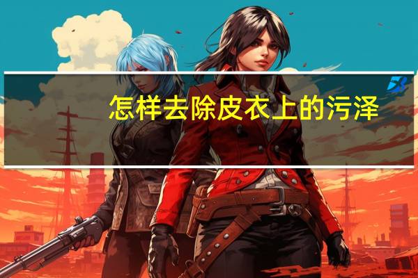 怎样去除皮衣上的污泽