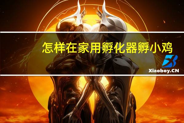 怎样在家用孵化器孵小鸡