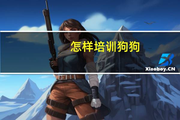 怎样培训狗狗