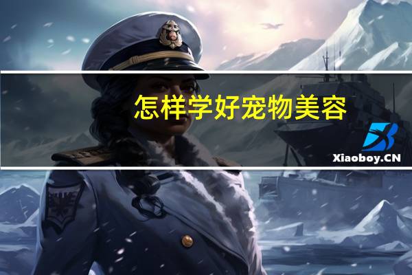 怎样学好宠物美容