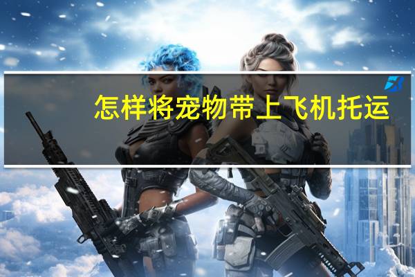 怎样将宠物带上飞机托运