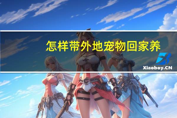 怎样带外地宠物回家养