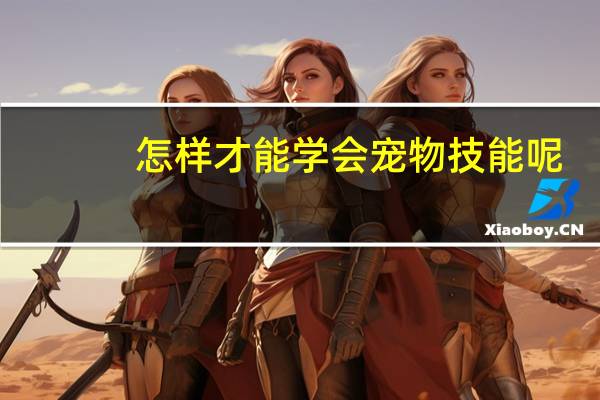 怎样才能学会宠物技能呢