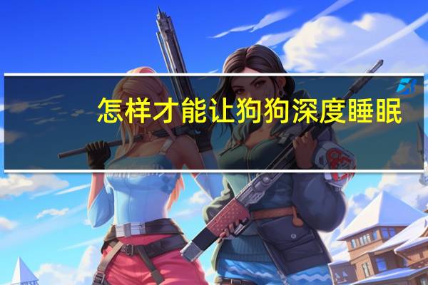 怎样才能让狗狗深度睡眠