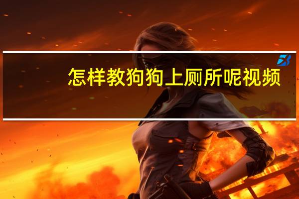 怎样教狗狗上厕所呢视频