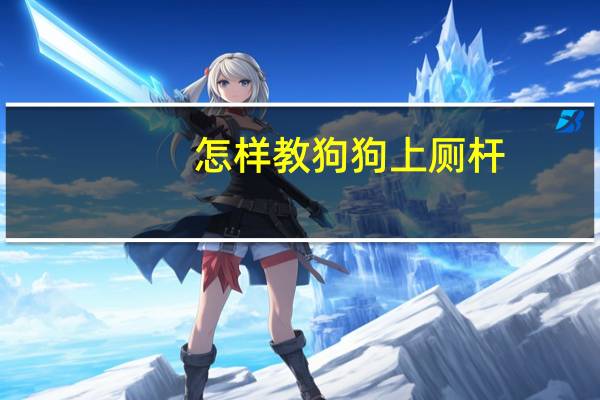 怎样教狗狗上厕杆