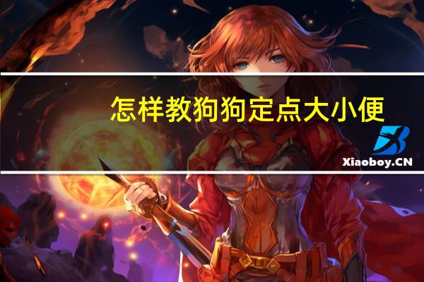 怎样教狗狗定点大小便