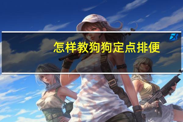 怎样教狗狗定点排便