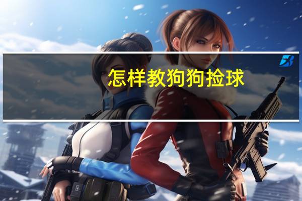 怎样教狗狗捡球