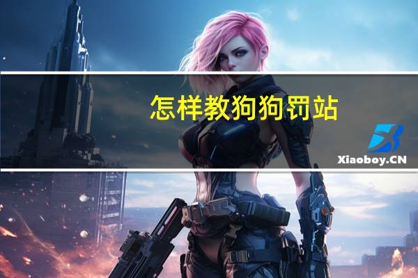 怎样教狗狗罚站