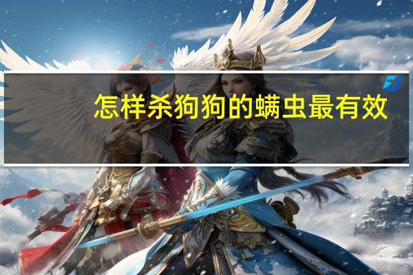 怎样杀狗狗的螨虫最有效