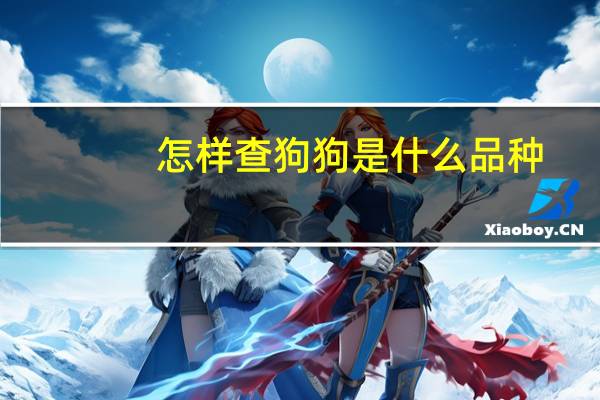 怎样查狗狗是什么品种
