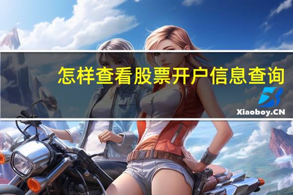 怎样查看股票开户信息查询