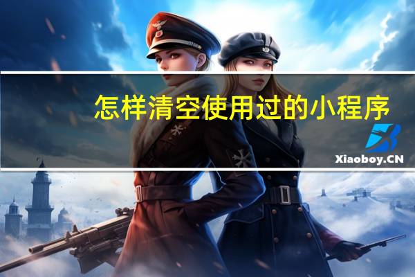 怎样清空使用过的小程序