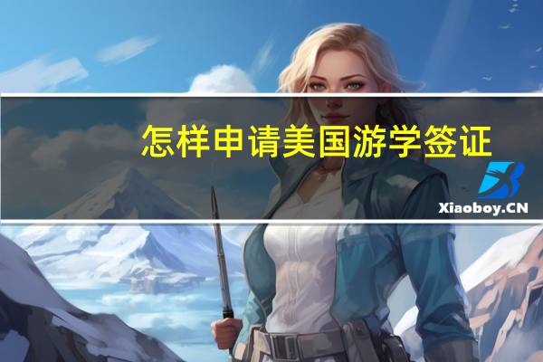 怎样申请美国游学签证