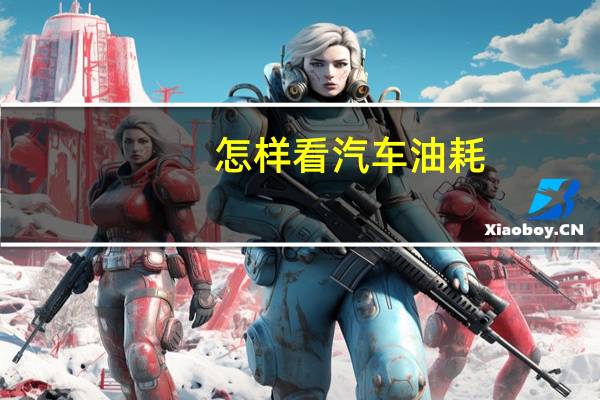 怎样看汽车油耗