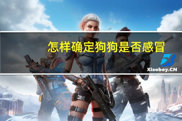 怎样确定狗狗是否感冒