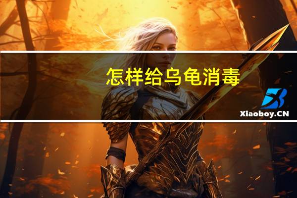 怎样给乌龟消毒