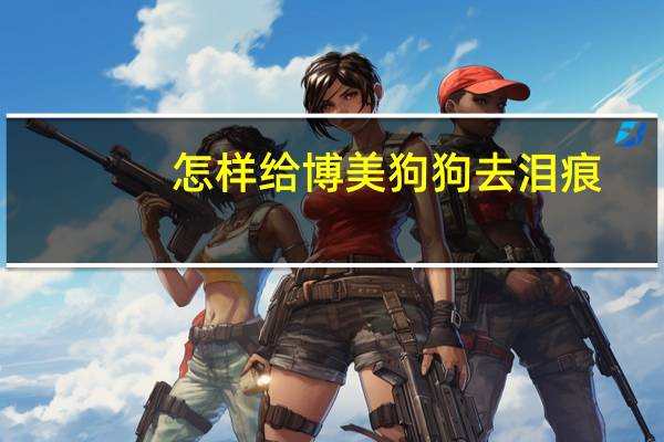 怎样给博美狗狗去泪痕