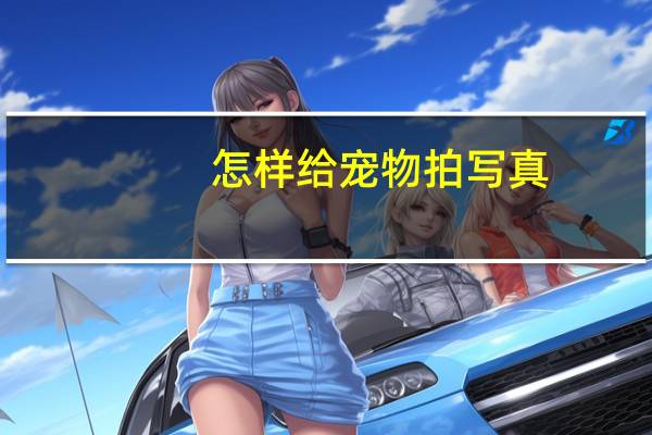 怎样给宠物拍写真