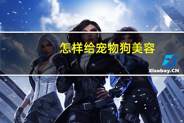 怎样给宠物狗美容