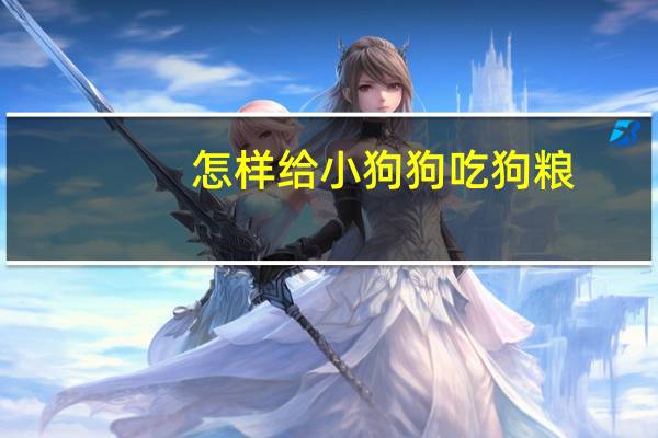 怎样给小狗狗吃狗粮
