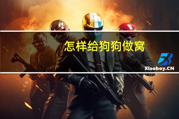 怎样给狗狗做窝