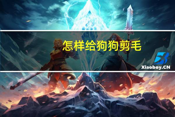 怎样给狗狗剪毛