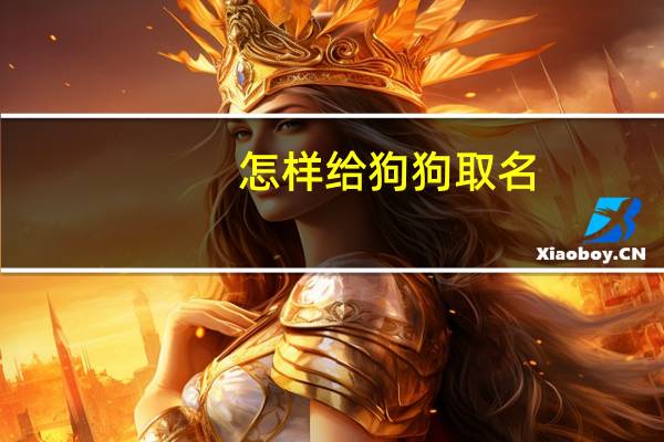 怎样给狗狗取名