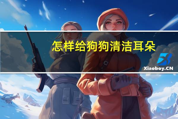怎样给狗狗清洁耳朵