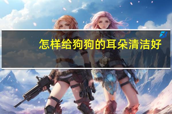 怎样给狗狗的耳朵清洁好
