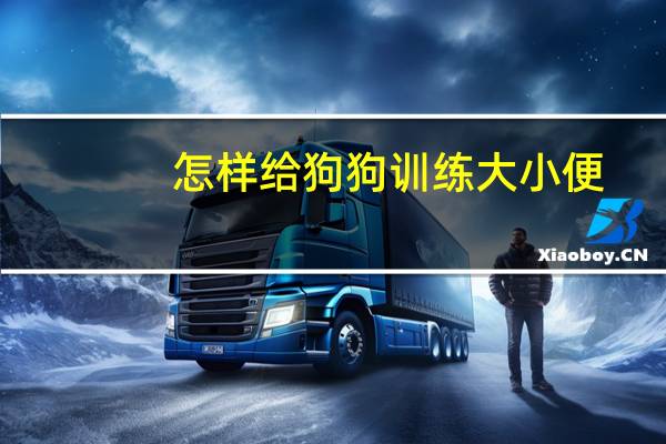 怎样给狗狗训练大小便