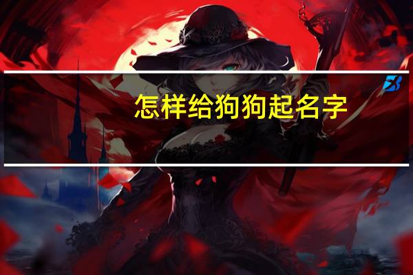 怎样给狗狗起名字