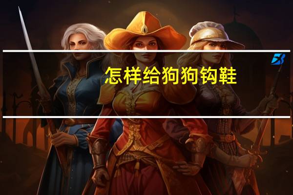 怎样给狗狗钩鞋