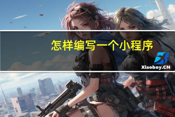 怎样编写一个小程序