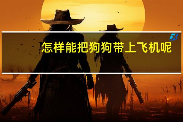 怎样能把狗狗带上飞机呢