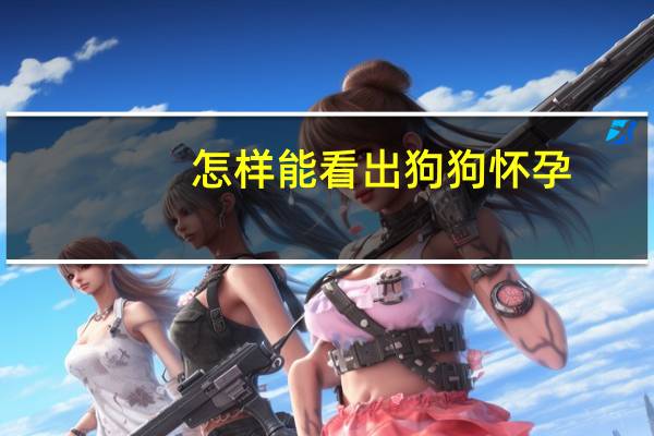 怎样能看出狗狗怀孕