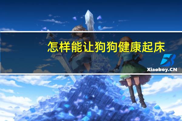 怎样能让狗狗健康起床