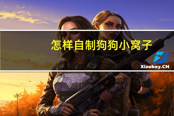 怎样自制狗狗小窝子