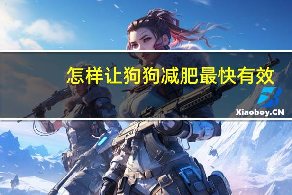 怎样让狗狗减肥最快有效